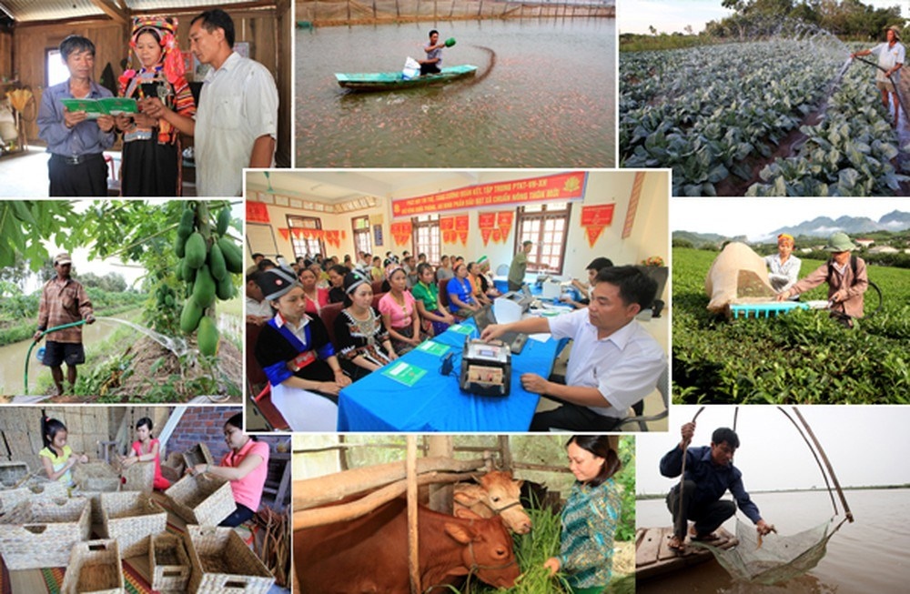 Vietnam’s poverty reduction experience featured at Toronto seminar